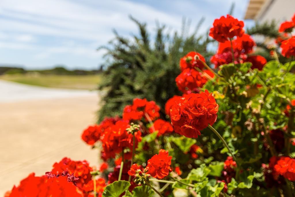 Wytonia Beachfront Accommodation Port Fairy Dış mekan fotoğraf